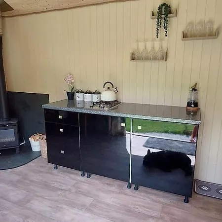 Reggies Hideaway A Secluded Off Grid Shepherds Hut Saint Hilary  Exterior photo