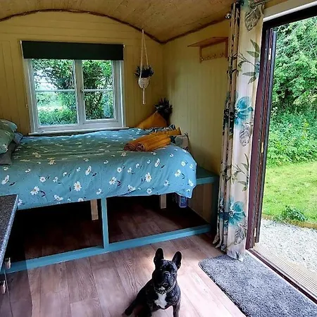 Reggies Hideaway A Secluded Off Grid Shepherds Hut Saint Hilary  Exterior photo