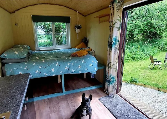 Reggies Hideaway A Secluded Off Grid Shepherds Hut