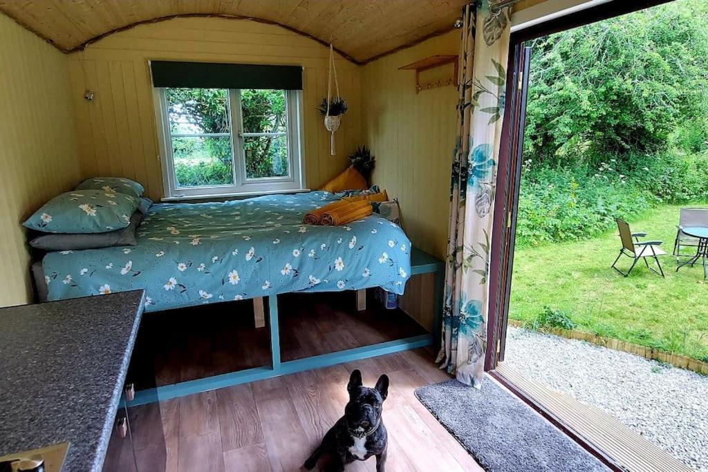 Reggies Hideaway A Secluded Off Grid Shepherds Hut * Saint Hilary (Cornwall)