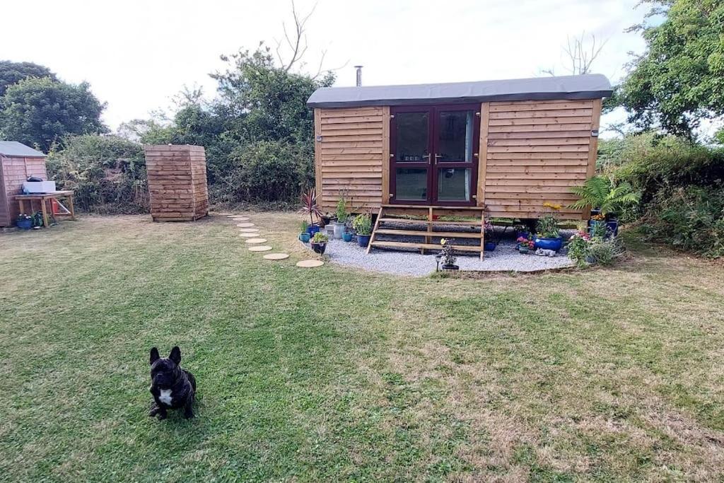 Holiday home Reggies Hideaway A Secluded Off Grid Shepherds Hut *